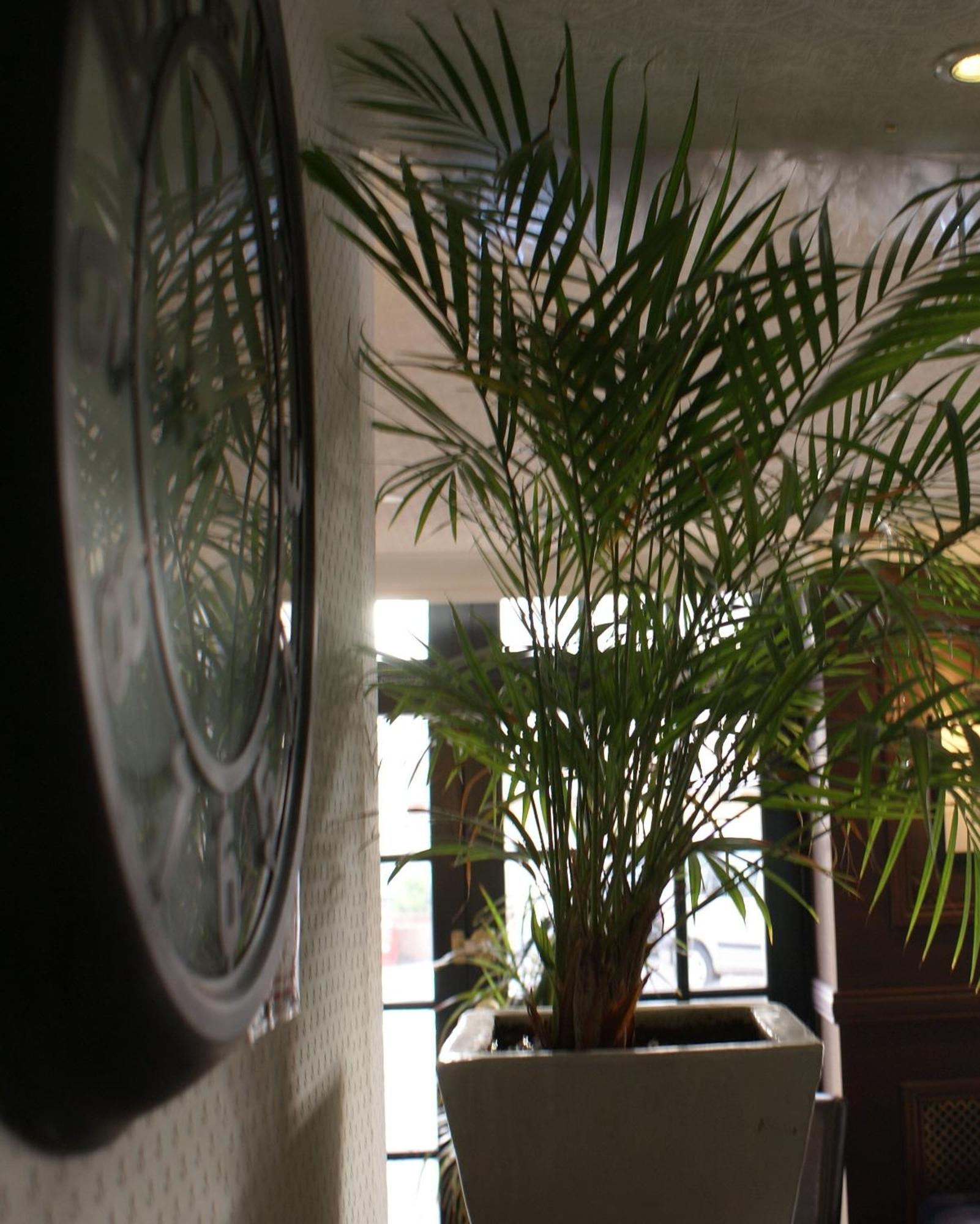 Be Cottage Hotel Le Touquet Екстер'єр фото